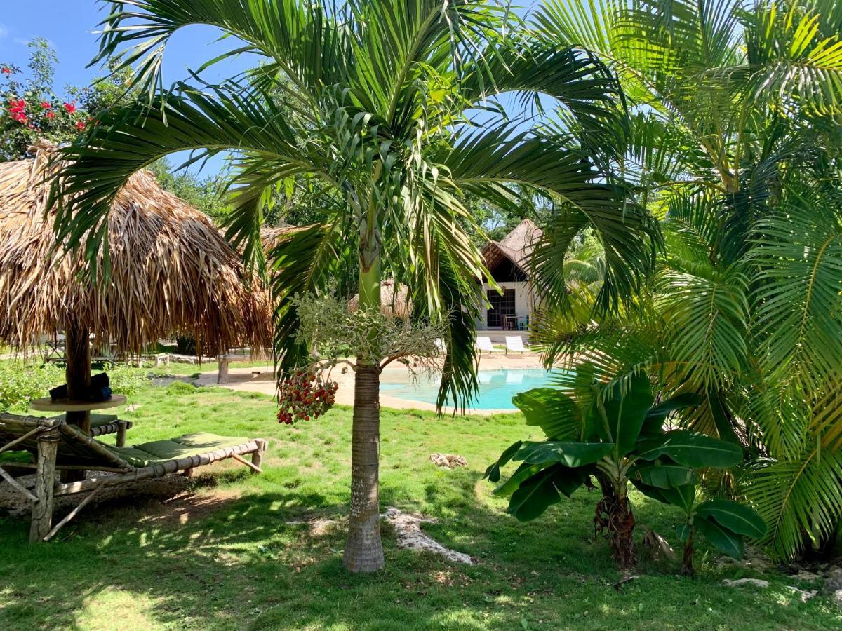 Villa Morena Boutique Hotel Ecoliving 아쿠말 외부 사진