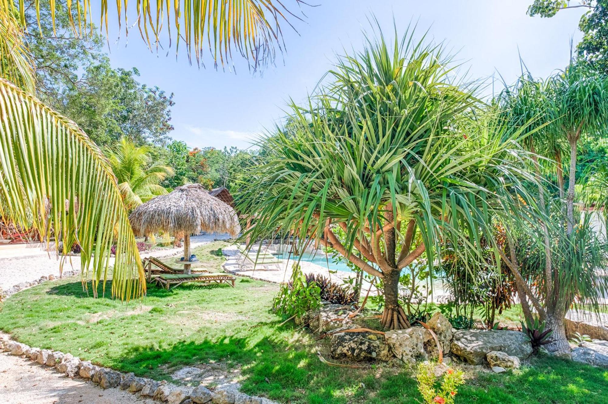 Villa Morena Boutique Hotel Ecoliving 아쿠말 외부 사진